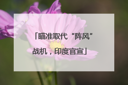 瞄准取代“阵风”战机，印度官宣