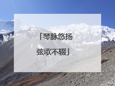 琴脉悠扬 弦歌不辍