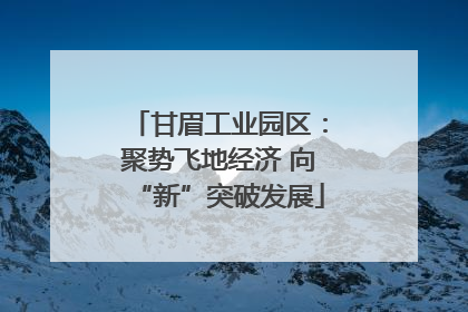 甘眉工业园区：聚势飞地经济 向“新”突破发展