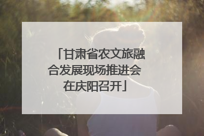 甘肃省农文旅融合发展现场推进会在庆阳召开