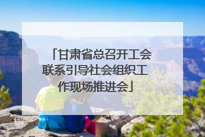 甘肃省总召开工会联系引导社会组织工作现场推进会