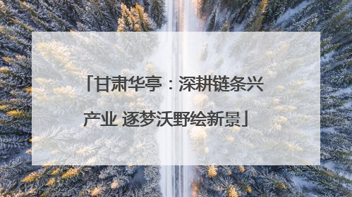 甘肃华亭：深耕链条兴产业 逐梦沃野绘新景