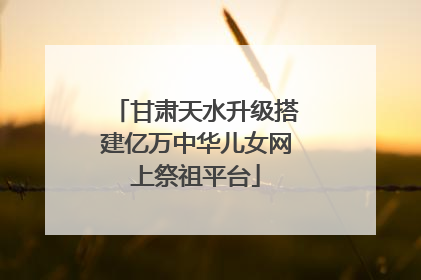甘肃天水升级搭建亿万中华儿女网上祭祖平台