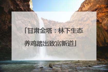 甘肃金塔：林下生态养鸡踏出致富新道