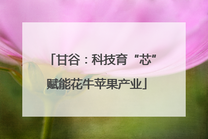 甘谷：科技育“芯”赋能花牛苹果产业