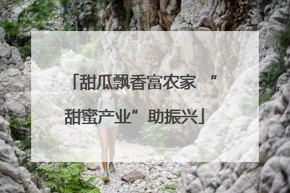甜瓜飘香富农家 “甜蜜产业”助振兴