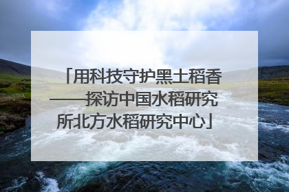 用科技守护黑土稻香——探访中国水稻研究所北方水稻研究中心