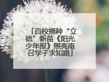 百校播种“立德”新苗《阳光少年报》照亮南召学子求知路