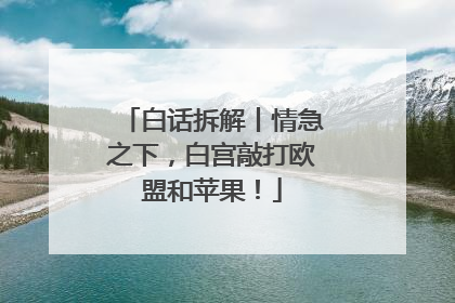白话拆解丨情急之下，白宫敲打欧盟和苹果！