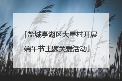 盐城亭湖区大星村开展端午节主题关爱活动