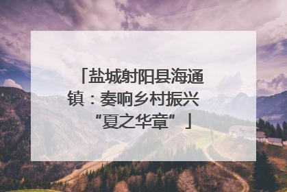 盐城射阳县海通镇：奏响乡村振兴“夏之华章”