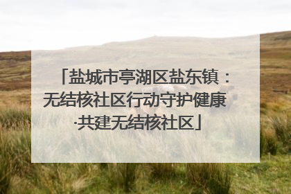 盐城市亭湖区盐东镇：无结核社区行动守护健康 ·共建无结核社区