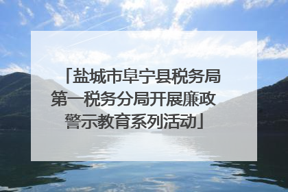 盐城市阜宁县税务局第一税务分局开展廉政警示教育系列活动