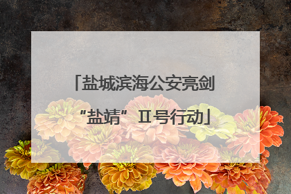 盐城滨海公安亮剑“盐靖”Ⅱ号行动