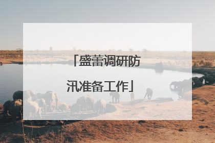 盛蕾调研防汛准备工作