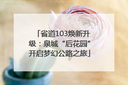 省道103焕新升级：泉城“后花园”开启梦幻公路之旅
