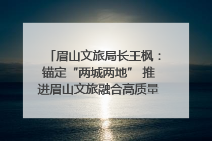 眉山文旅局长王枫：锚定“两城两地” 推进眉山文旅融合高质量发展｜文旅局长说