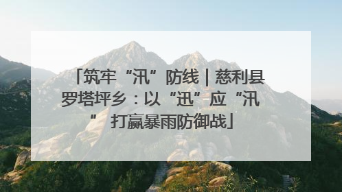 筑牢“汛”防线｜慈利县罗塔坪乡：以“迅”应“汛” 打赢暴雨防御战