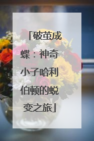 破茧成蝶：神奇小子哈利伯顿的蜕变之旅