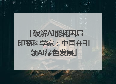 破解AI能耗困局 印裔科学家：中国在引领AI绿色发展