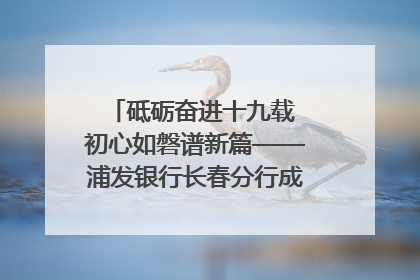 砥砺奋进十九载 初心如磐谱新篇——浦发银行长春分行成立19周年助力吉林省全面振兴纪实