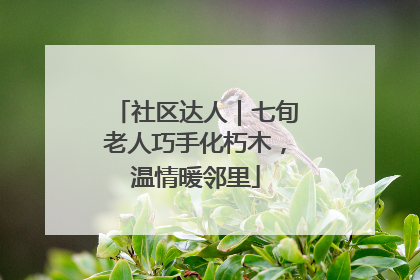 社区达人｜七旬老人巧手化朽木，温情暖邻里