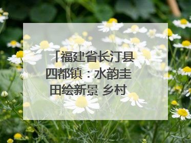福建省长汀县四都镇：水韵圭田绘新景 乡村振兴谱华章
