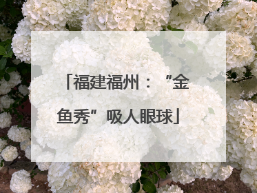 福建福州：“金鱼秀”吸人眼球