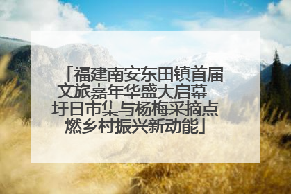 福建南安东田镇首届文旅嘉年华盛大启幕 圩日市集与杨梅采摘点燃乡村振兴新动能