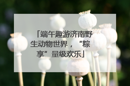 端午趣游济南野生动物世界，“粽享”量级欢乐