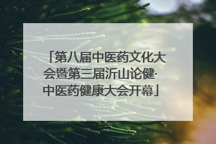 第八届中医药文化大会暨第三届沂山论健·中医药健康大会开幕
