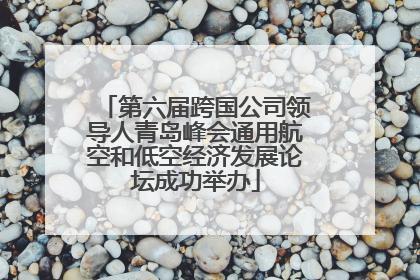 第六届跨国公司领导人青岛峰会通用航空和低空经济发展论坛成功举办