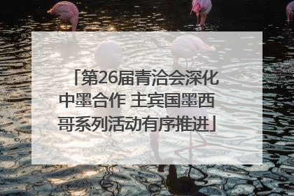 第26届青洽会深化中墨合作 主宾国墨西哥系列活动有序推进