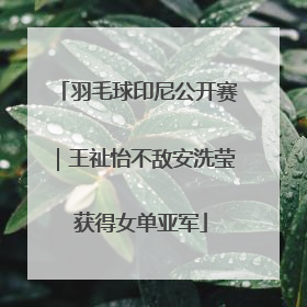 羽毛球印尼公开赛｜王祉怡不敌安洗莹 获得女单亚军