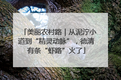 美丽农村路｜从泥泞小道到“精灵动脉”，德清有条“虾路”火了