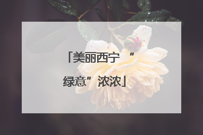 美丽西宁 “绿意”浓浓