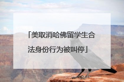 美取消哈佛留学生合法身份行为被叫停