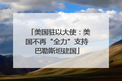 美国驻以大使：美国不再“全力”支持巴勒斯坦建国