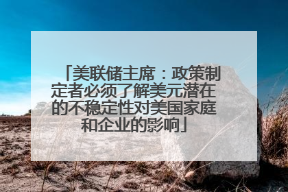 美联储主席：政策制定者必须了解美元潜在的不稳定性对美国家庭和企业的影响