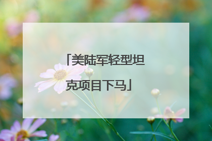 美陆军轻型坦克项目下马