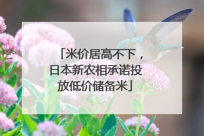 米价居高不下，日本新农相承诺投放低价储备米