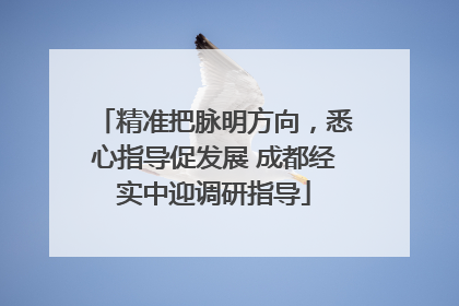 精准把脉明方向，悉心指导促发展 成都经实中迎调研指导