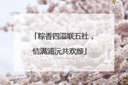粽香四溢联五社，情满浦沅共欢颜