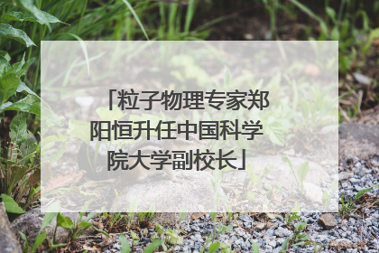 粒子物理专家郑阳恒升任中国科学院大学副校长