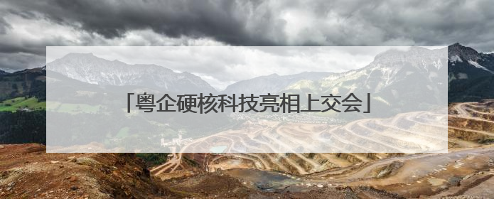 粤企硬核科技亮相上交会