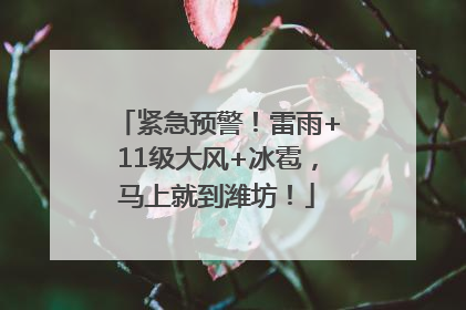 紧急预警！雷雨+11级大风+冰雹，马上就到潍坊！