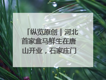 纵览原创｜河北首家盒马鲜生在唐山开业，石家庄门店预计8月开业
