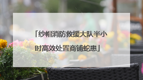 纱帽消防救援大队半小时高效处置商铺蛇患