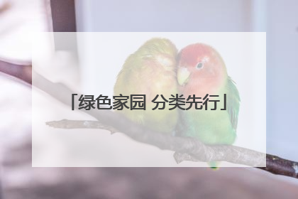 绿色家园 分类先行