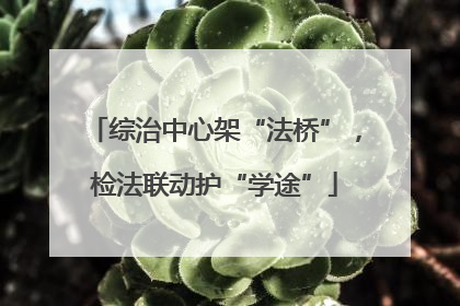 综治中心架“法桥”，检法联动护“学途”